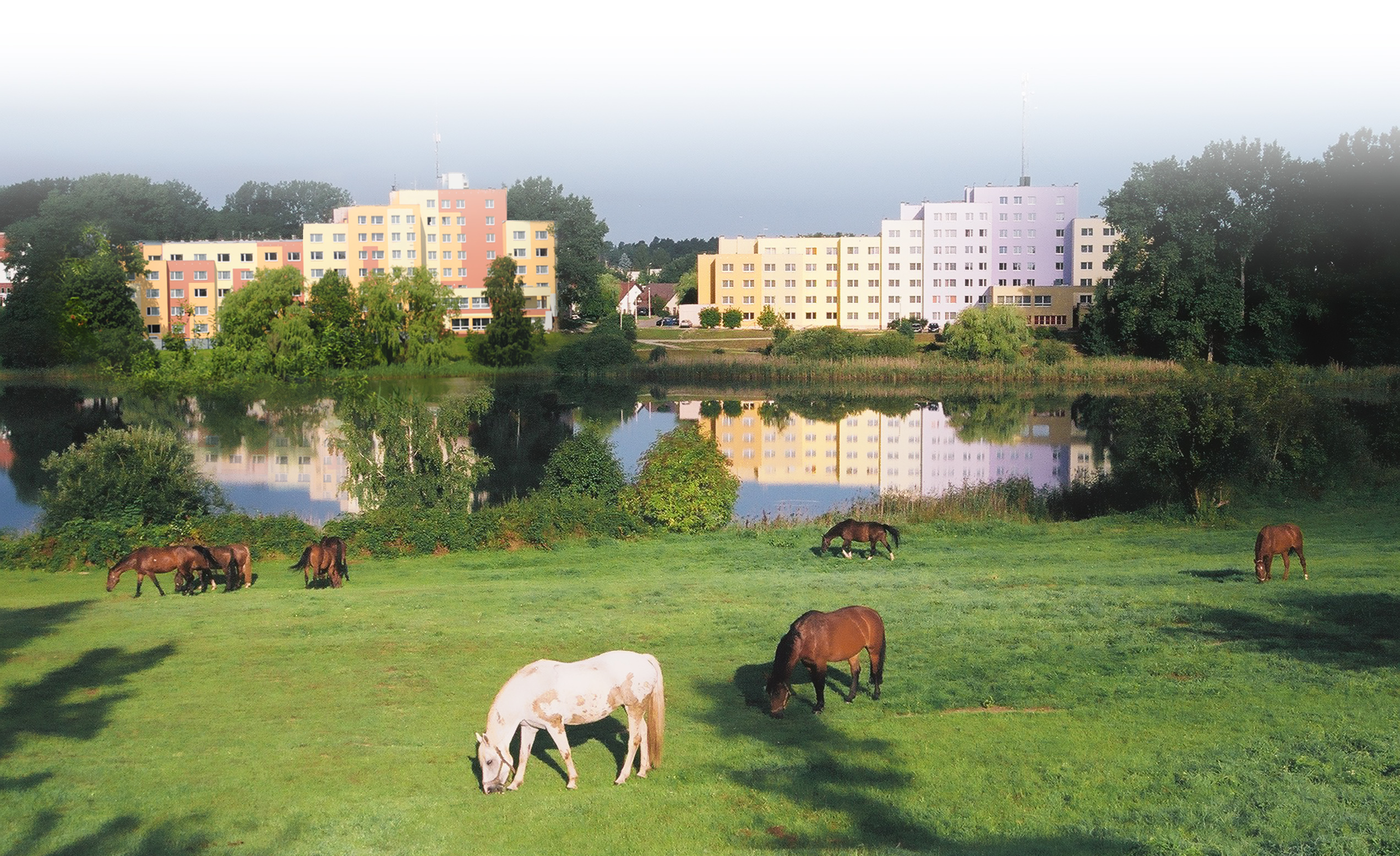 View of the Dorm DS 119 and UDR