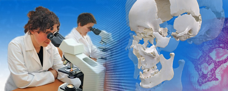 Katedra Anatomii - main photo