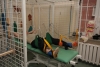 Oddział Kliniczny Rehabilitacji Neurologicznej, Ogólnoustrojowej i Ośrodek Rehabilitacji Dziennej